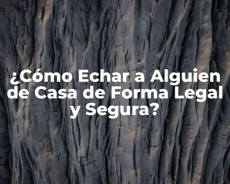 ¿Cómo Echar a Alguien de Casa de Forma Legal y Segura?