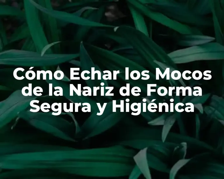 Cómo Echar los Mocos de la Nariz de Forma Segura y Higiénica
