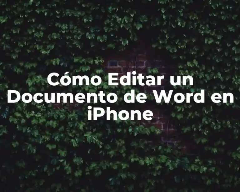 Cómo Editar un Documento de Word en iPhone