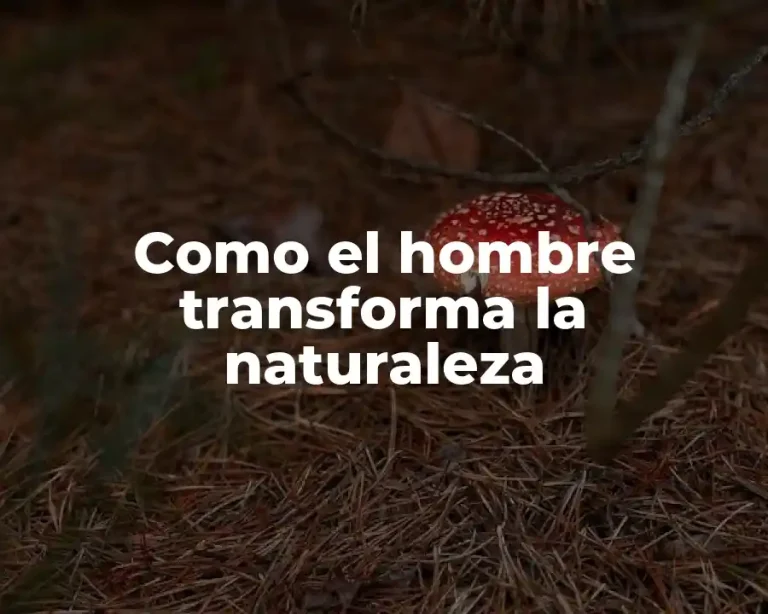 Como el hombre transforma la naturaleza