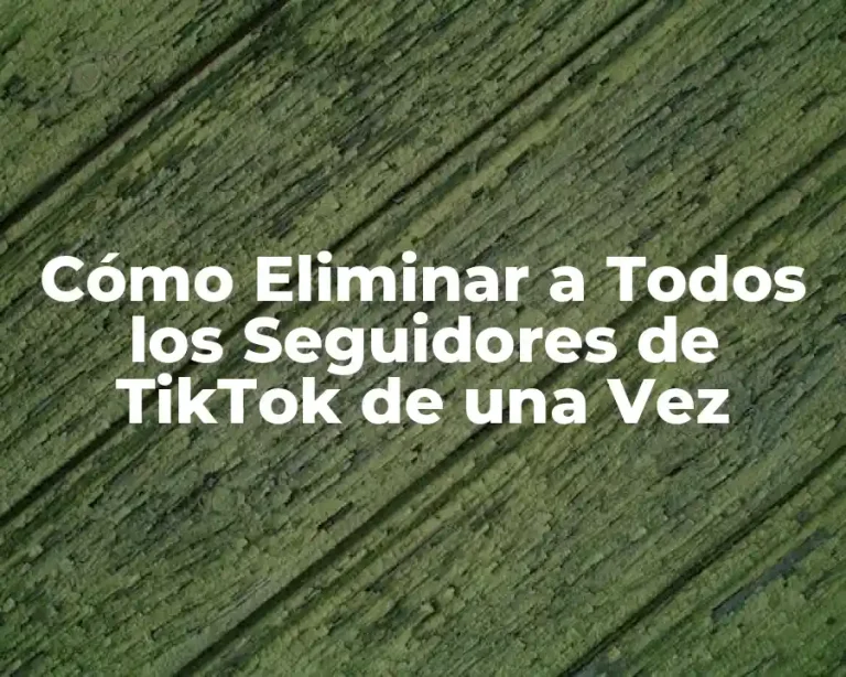 Cómo Eliminar a Todos los Seguidores de TikTok de una Vez