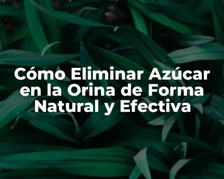 Cómo Eliminar Azúcar en la Orina de Forma Natural y Efectiva