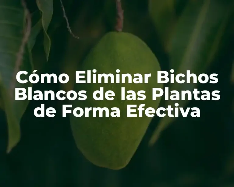 Cómo Eliminar Bichos Blancos de las Plantas de Forma Efectiva