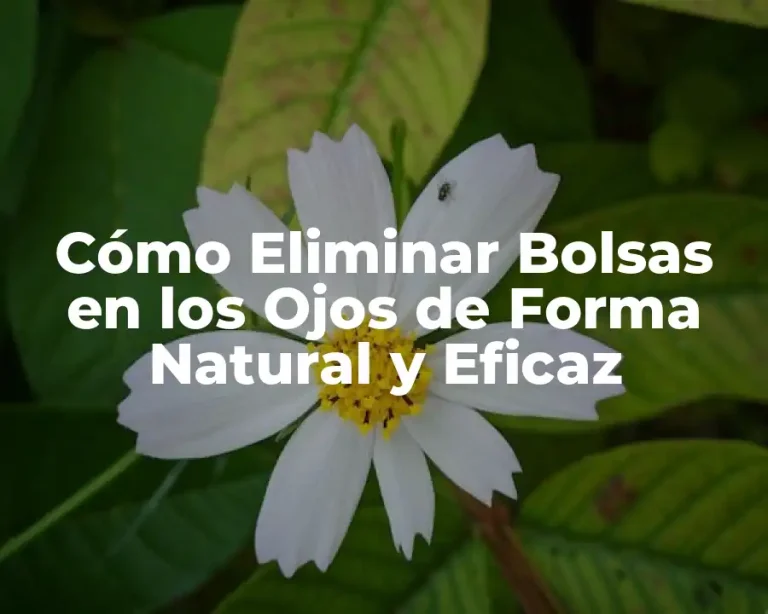 Cómo Eliminar Bolsas en los Ojos de Forma Natural y Eficaz