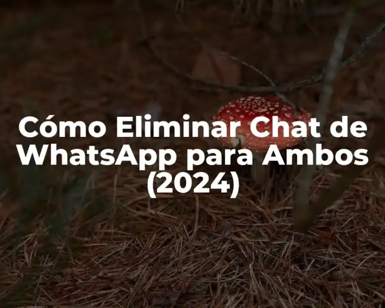Cómo Eliminar Chat de WhatsApp para Ambos (2024)