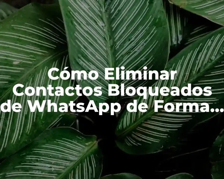 Cómo Eliminar Contactos Bloqueados de WhatsApp de Forma Permanente