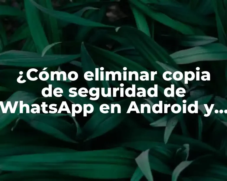 ¿Cómo eliminar copia de seguridad de WhatsApp en Android y iPhone?