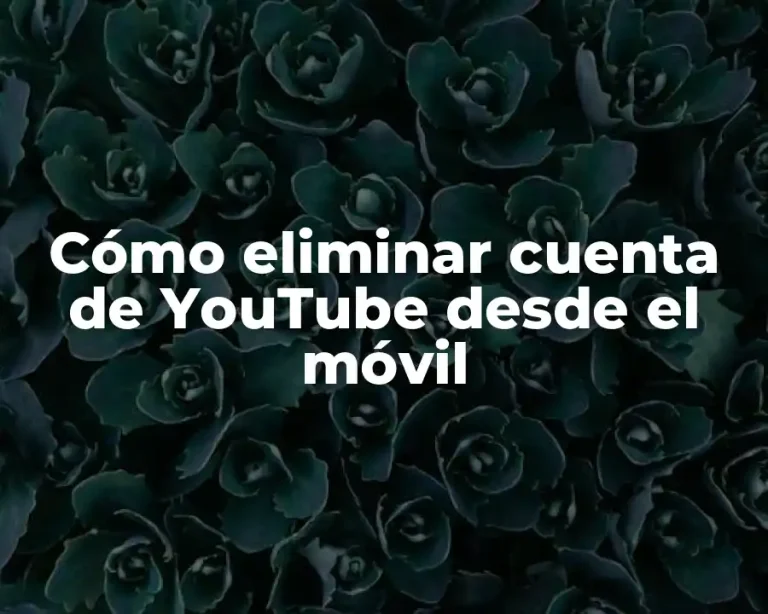 Cómo eliminar cuenta de YouTube desde el móvil