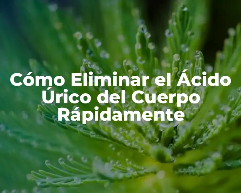 Cómo Eliminar el Ácido Úrico del Cuerpo Rápidamente