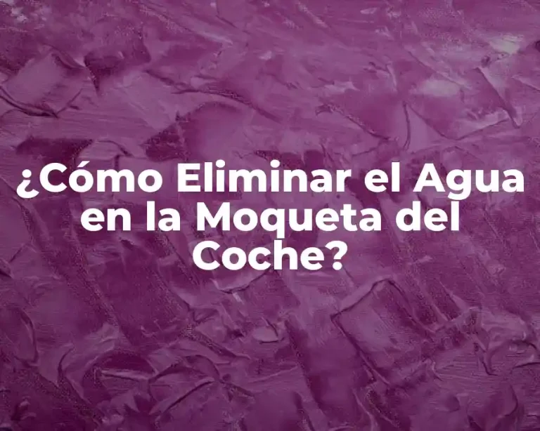 ¿Cómo Eliminar el Agua en la Moqueta del Coche?