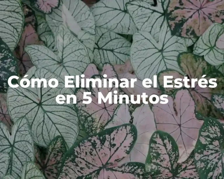 Cómo Eliminar el Estrés en 5 Minutos