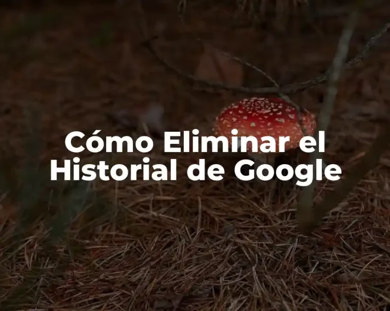 Cómo Eliminar el Historial de Google