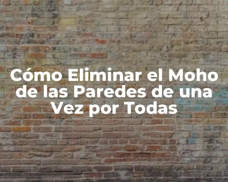 Cómo Eliminar el Moho de las Paredes de una Vez por Todas