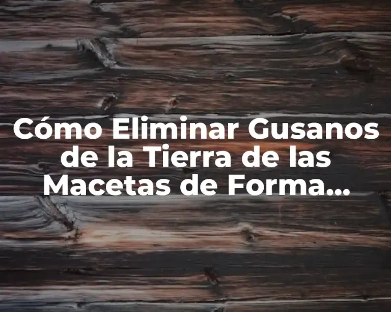 Cómo Eliminar Gusanos de la Tierra de las Macetas de Forma Efectiva