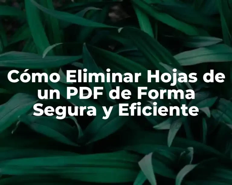 Cómo Eliminar Hojas de un PDF de Forma Segura y Eficiente