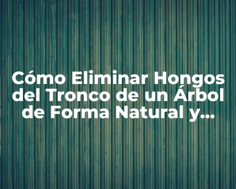 Cómo Eliminar Hongos del Tronco de un Árbol de Forma Natural y Efectiva