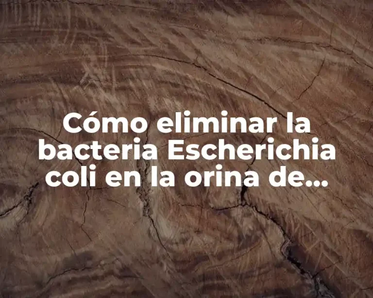 Cómo eliminar la bacteria Escherichia coli en la orina de manera efectiva