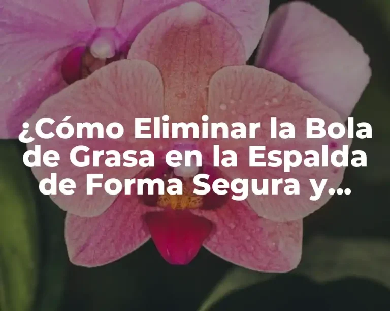 ¿Cómo Eliminar la Bola de Grasa en la Espalda de Forma Segura y Efectiva?
