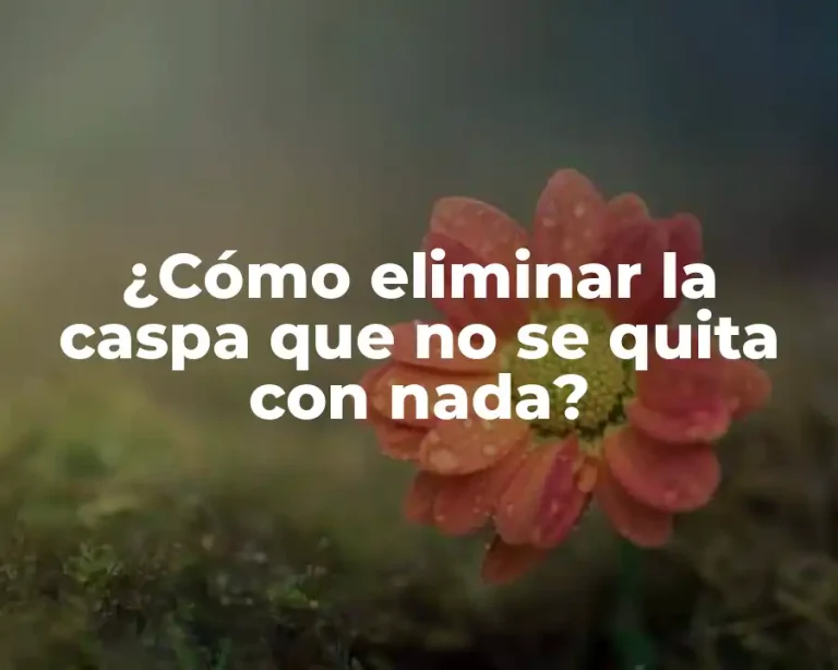 ¿Cómo eliminar la caspa que no se quita con nada?