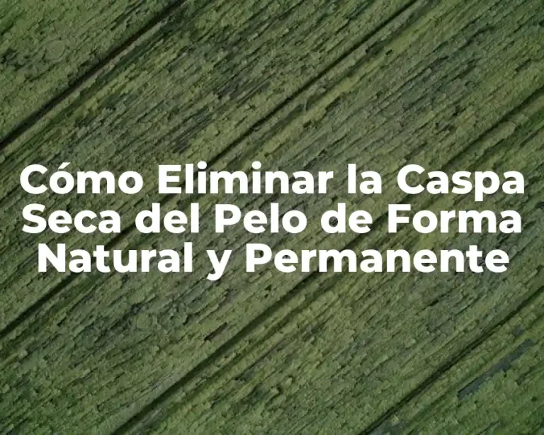 Cómo Eliminar la Caspa Seca del Pelo de Forma Natural y Permanente