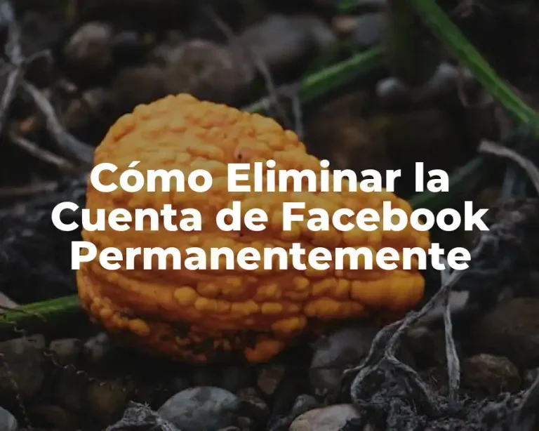 Cómo Eliminar la Cuenta de Facebook Permanentemente