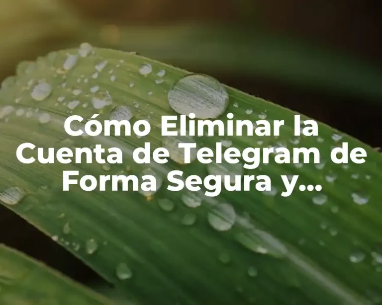 Cómo Eliminar la Cuenta de Telegram de Forma Segura y Permanente