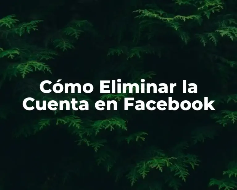 Cómo Eliminar la Cuenta en Facebook