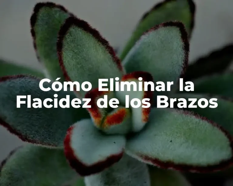 Cómo Eliminar la Flacidez de los Brazos