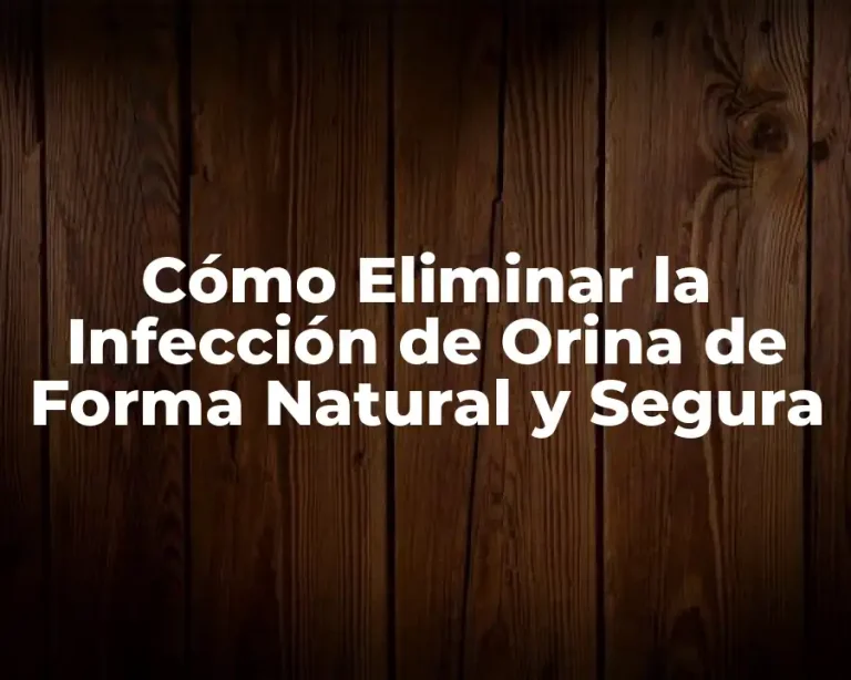 Cómo Eliminar la Infección de Orina de Forma Natural y Segura