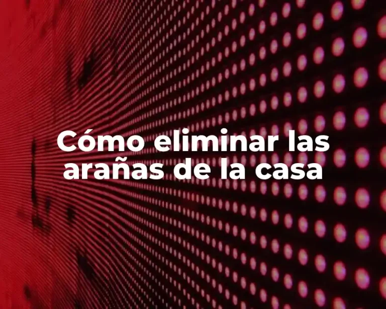 Cómo eliminar las arañas de la casa