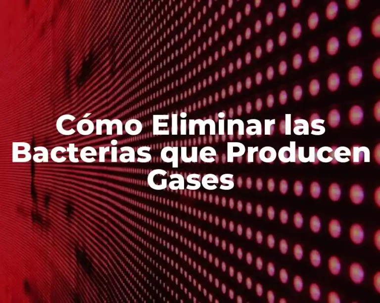 Cómo Eliminar las Bacterias que Producen Gases