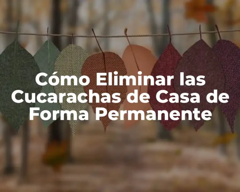 Cómo Eliminar las Cucarachas de Casa de Forma Permanente