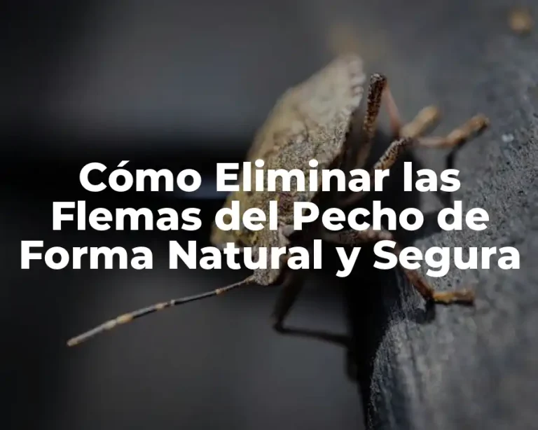 Cómo Eliminar las Flemas del Pecho de Forma Natural y Segura