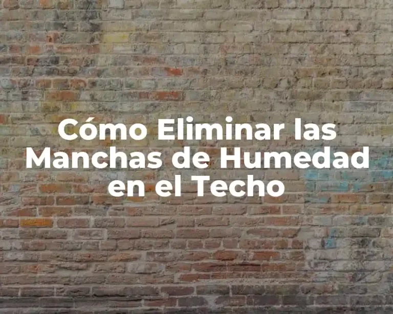 Cómo Eliminar las Manchas de Humedad en el Techo
