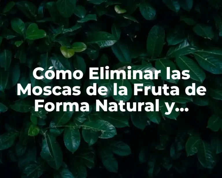 Cómo Eliminar las Moscas de la Fruta de Forma Natural y Efectiva