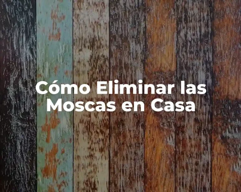 Cómo Eliminar las Moscas en Casa