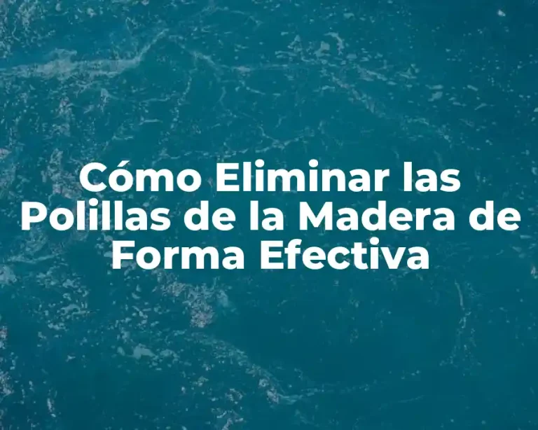 Cómo Eliminar las Polillas de la Madera de Forma Efectiva