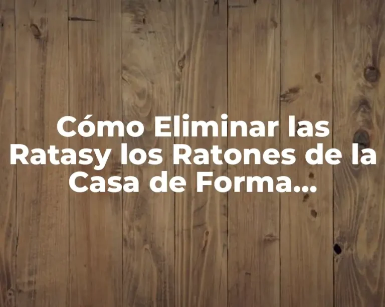 Cómo Eliminar las Ratasy los Ratones de la Casa de Forma Permanente