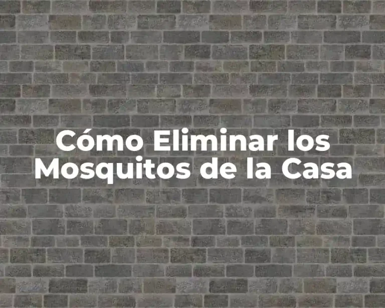 Cómo Eliminar los Mosquitos de la Casa