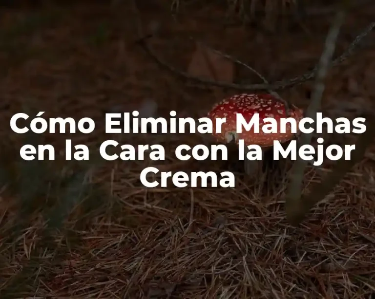 Cómo Eliminar Manchas en la Cara con la Mejor Crema