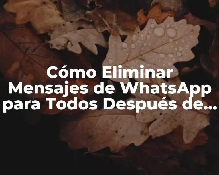 Cómo Eliminar Mensajes de WhatsApp para Todos Después de Horas