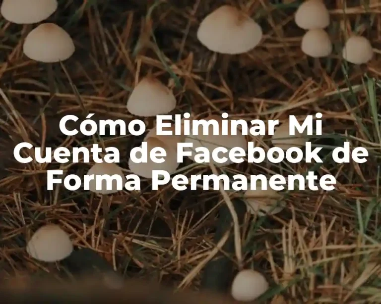 Cómo Eliminar Mi Cuenta de Facebook de Forma Permanente