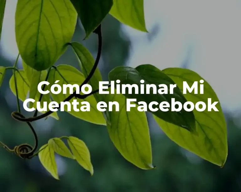 Cómo Eliminar Mi Cuenta en Facebook