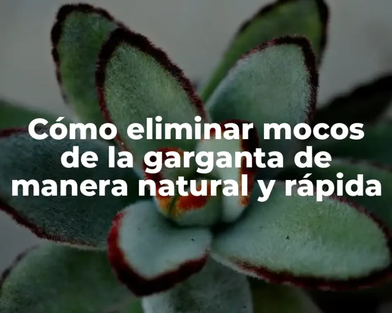 Cómo eliminar mocos de la garganta de manera natural y rápida