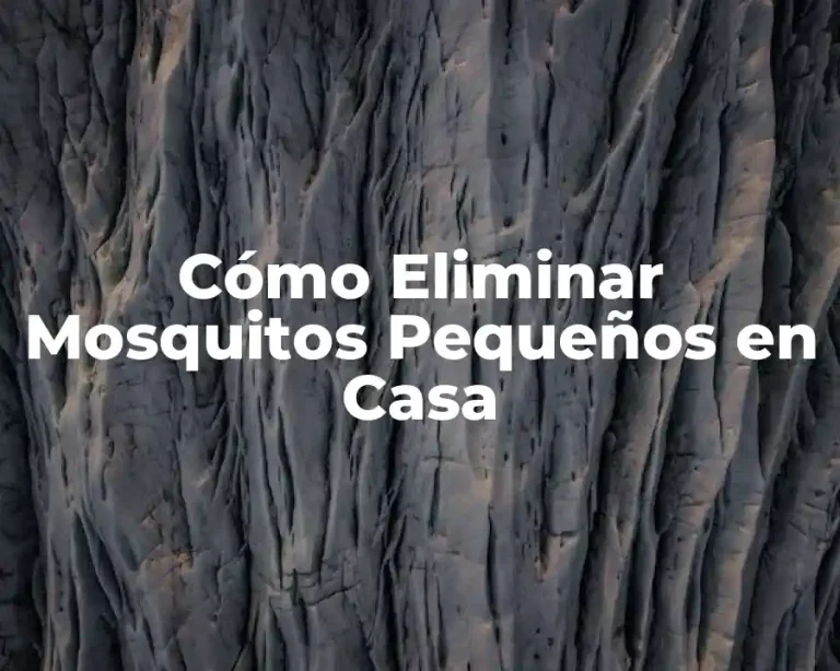 Cómo Eliminar Mosquitos Pequeños en Casa
