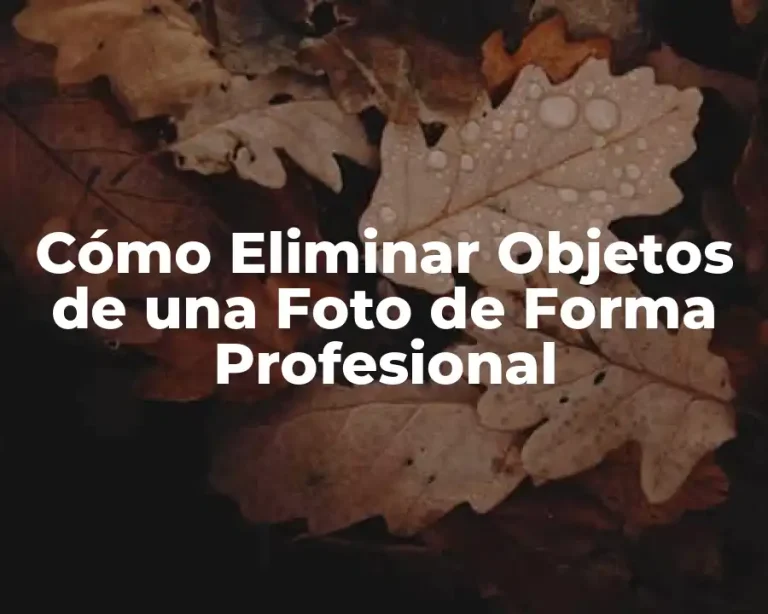 Cómo Eliminar Objetos de una Foto de Forma Profesional