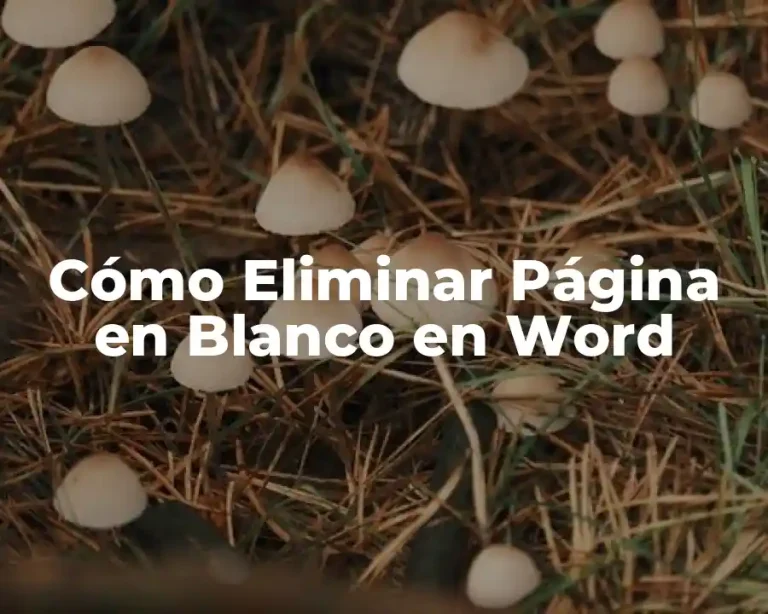Cómo Eliminar Página en Blanco en Word