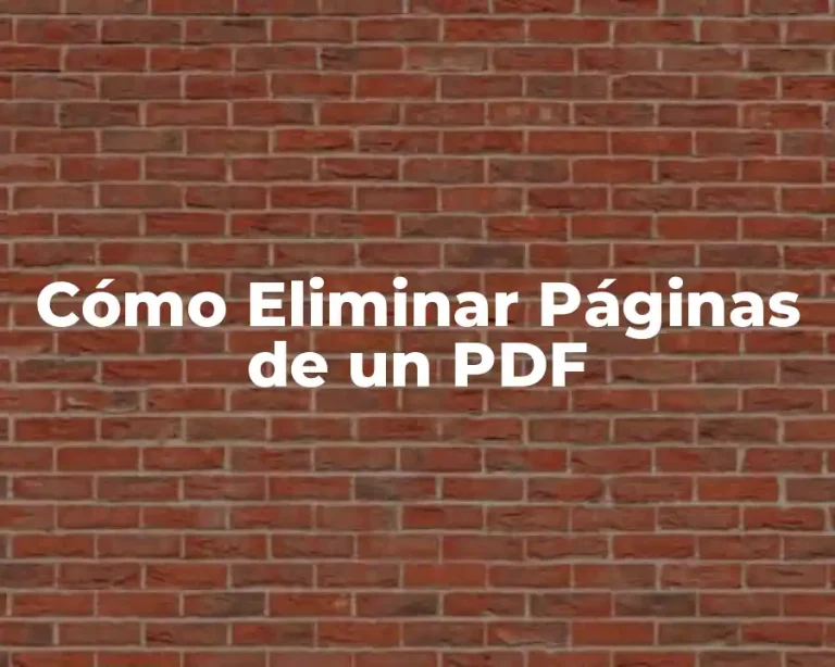 Cómo Eliminar Páginas de un PDF