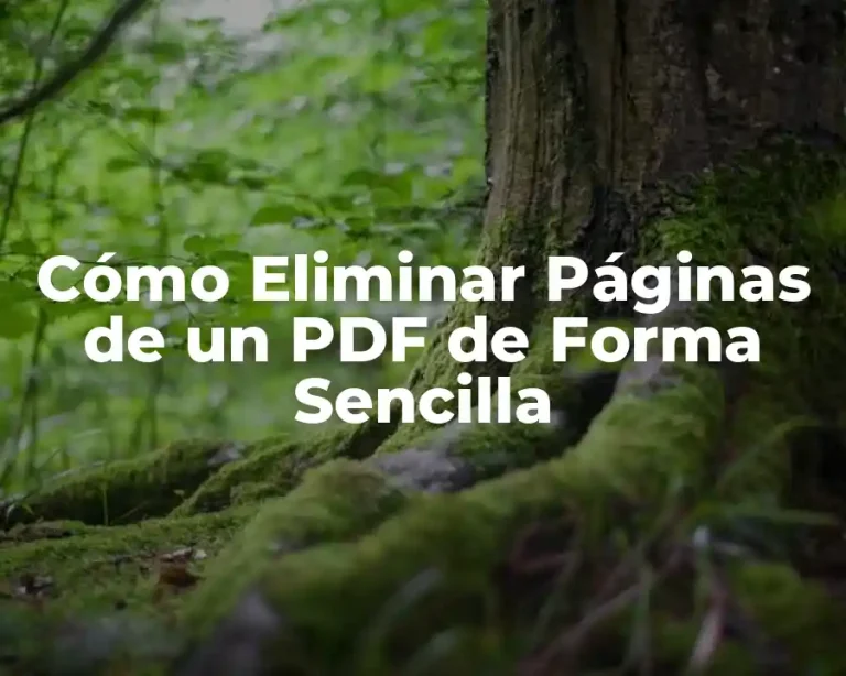 Cómo Eliminar Páginas de un PDF de Forma Sencilla