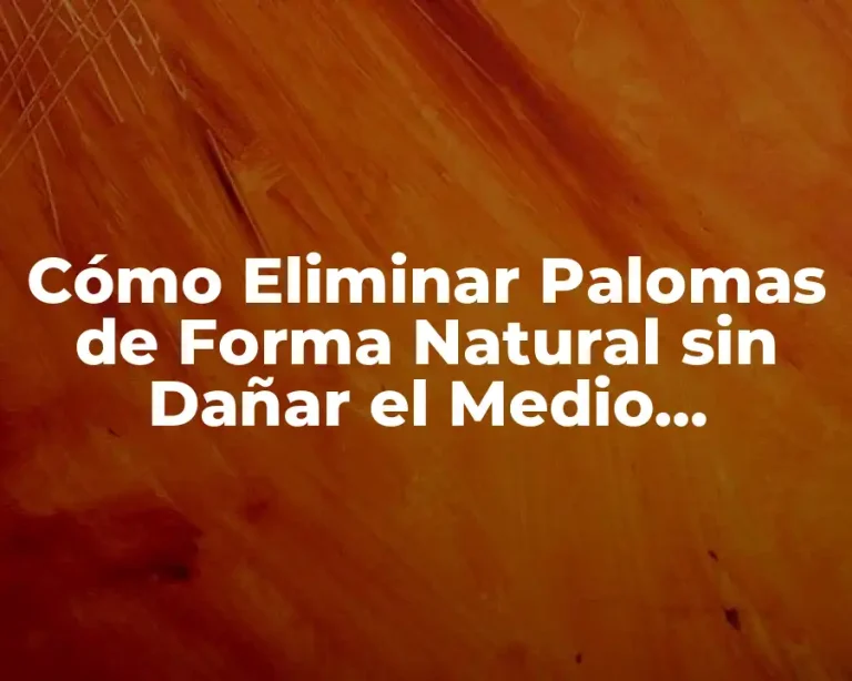 Cómo Eliminar Palomas de Forma Natural sin Dañar el Medio Ambiente